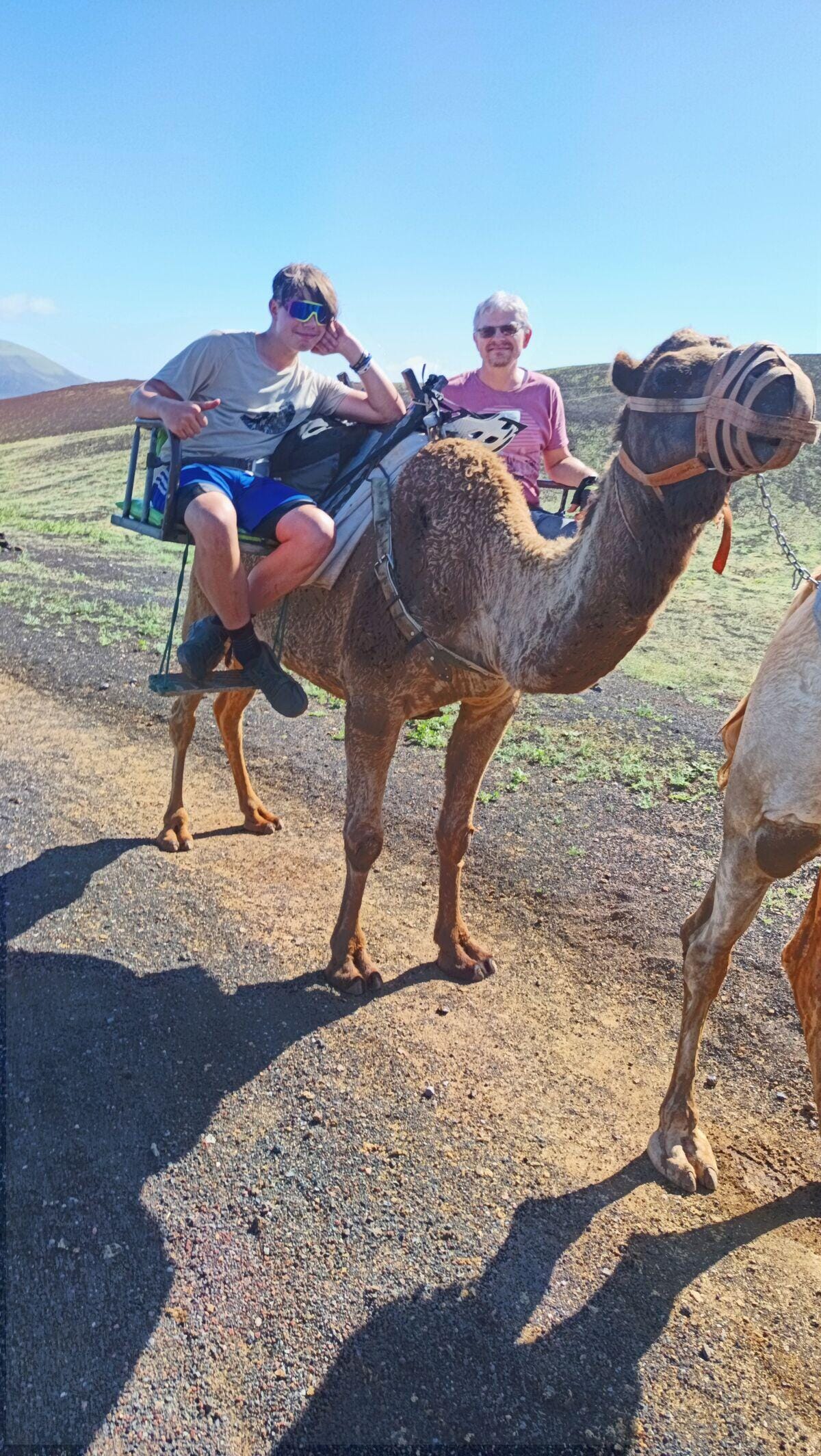 Camel train at Echadero de los Camellos near Timanfaya