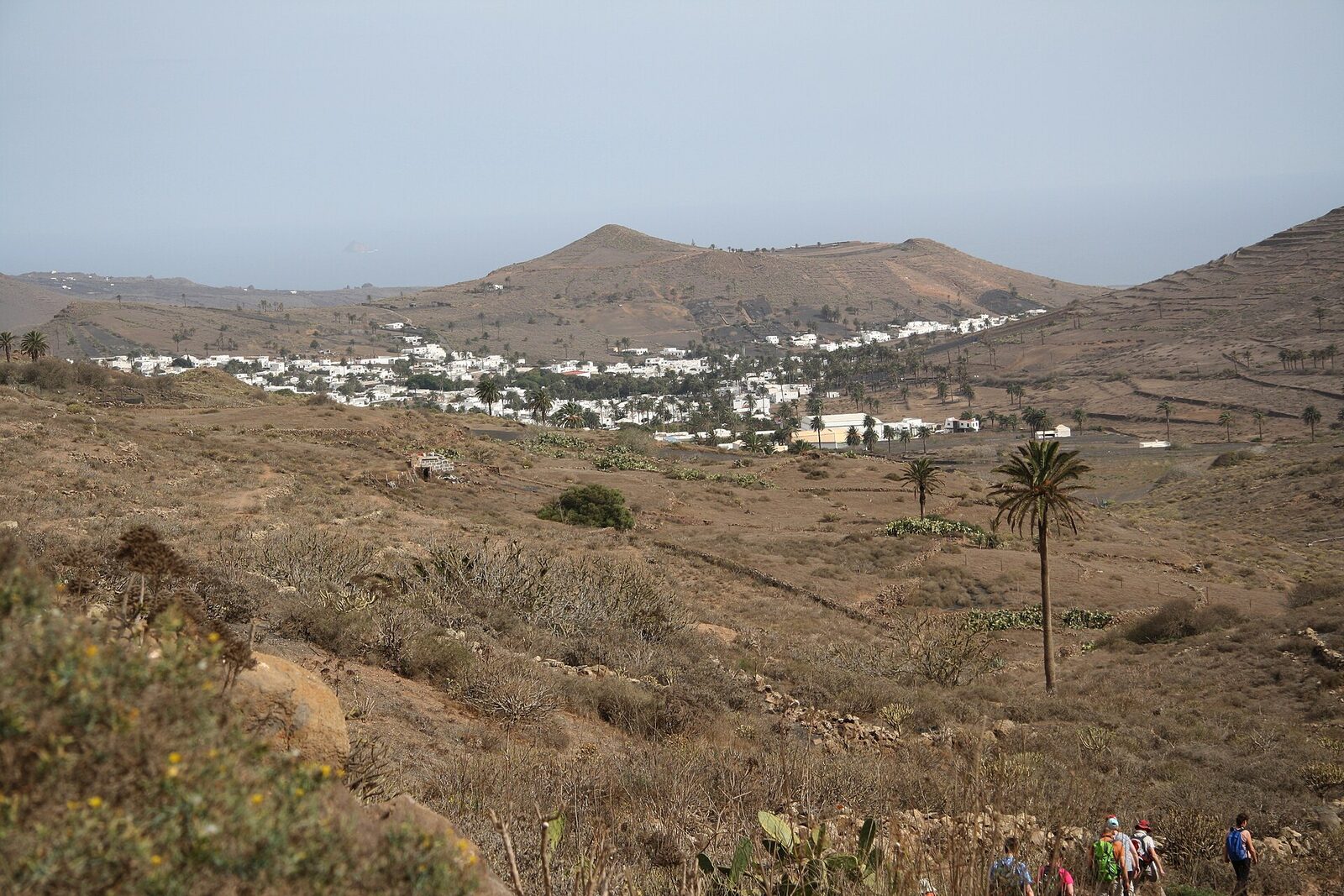 The palm-filled valley of Haría in northern Lanzarote, start of the 12K